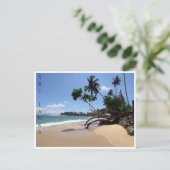 strandgalle unawatuna briefkaart (Staand voorkant)