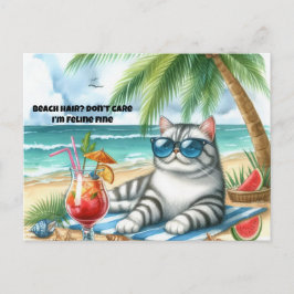 Strandhaar, Geen Zorgen Katachtige Fijne Kat Ansic Briefkaart