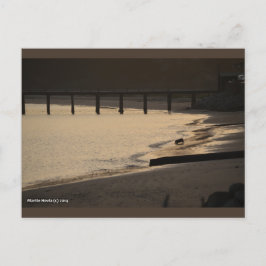 Strandhond bij zonsondergang | Blue Beach Song™-Br Briefkaart