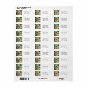 Strandhuis kustkunst etiket (Full Sheet)