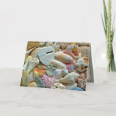 Strandjutter Schelp Collectie Lege Notitiekaarten (Voorkant)