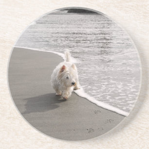 Strandkammen Westie Dog Foto Zandsteen Onderzetter