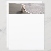 Strandkammen Witte Westie Hond Foto Stationery (Voorkant / Achterkant)