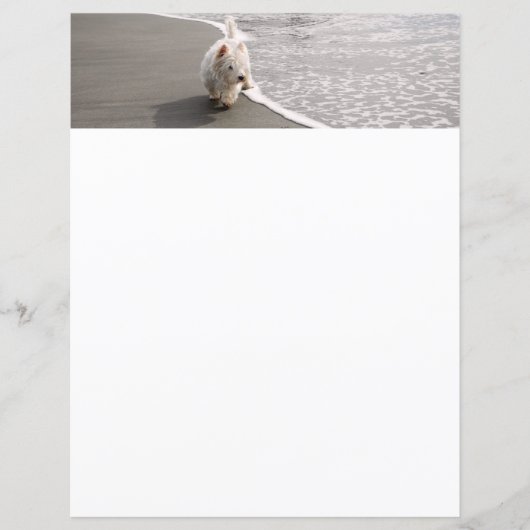 Strandkammen Witte Westie Hond Foto Stationery (Voorkant)