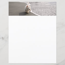 Strandkammen Witte Westie Hond Foto Stationery