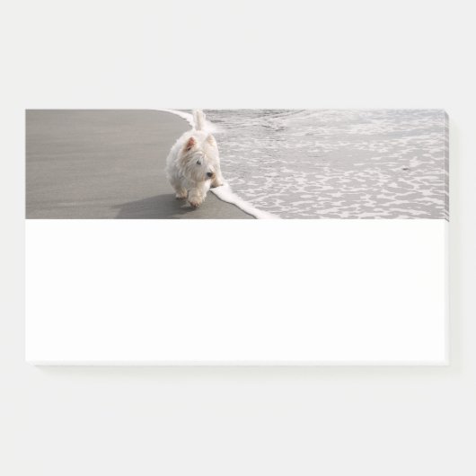 Strandkammen Witte Westie Hond Foto Stationery Post-it® Notes (Voorkant)
