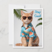 Strandkat met zonnebril Wenskaart Kaart (Voorkant)