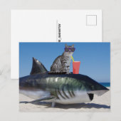 STRANDKAT OP SHARK GRAPPIG BRIEFKAART (Voorkant / Achterkant)