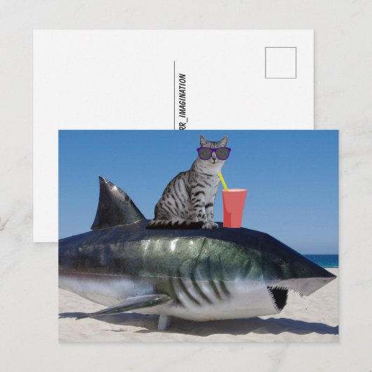 STRANDKAT OP SHARK GRAPPIG BRIEFKAART (Voorkant / Achterkant)