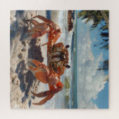 strandkrabpuzzel legpuzzel (Horizontaal)