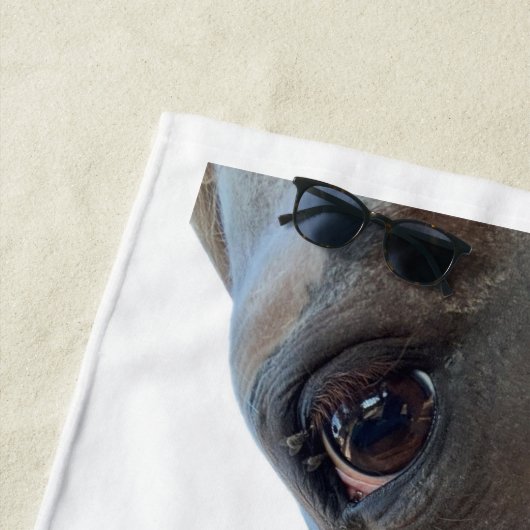 Strandlak Strandlaken (In situ)