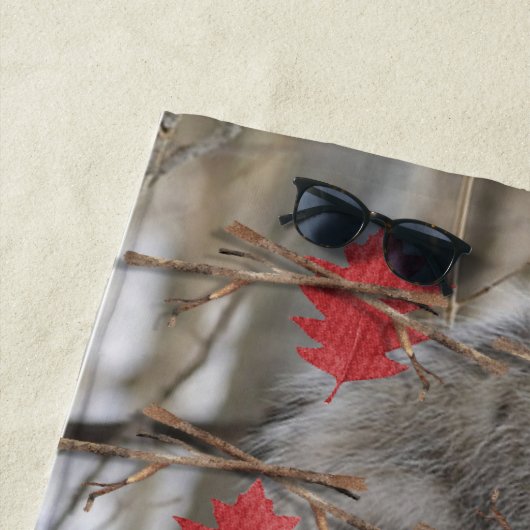 Strandlaken Opossum Natuur (In situ)