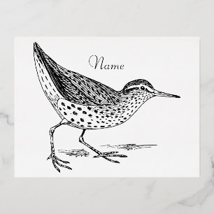 Strandloper Kustvogel Thunder_Cove Folie Feestdagen Briefkaart