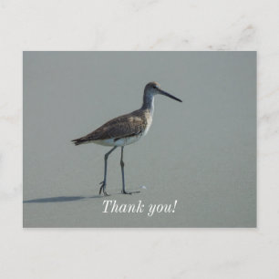 Strandloperhouding Briefkaart