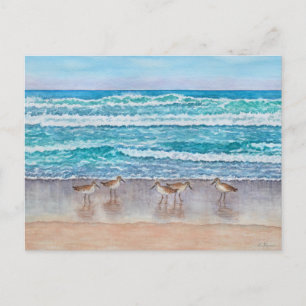 Strandlopers van Monterey Bay Briefkaart
