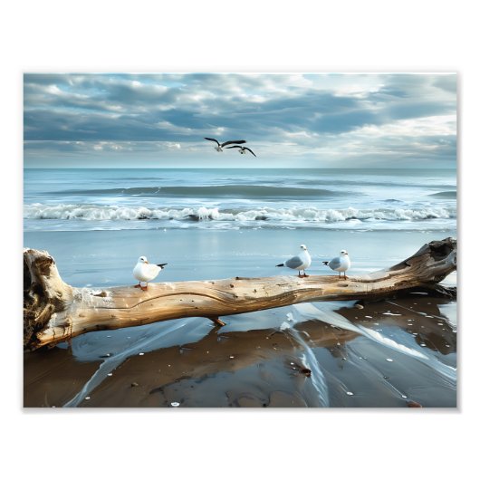 Strandmeeuwen Foto Afdruk (Voorkant)