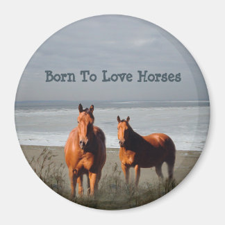 Strandpaarden magneet
