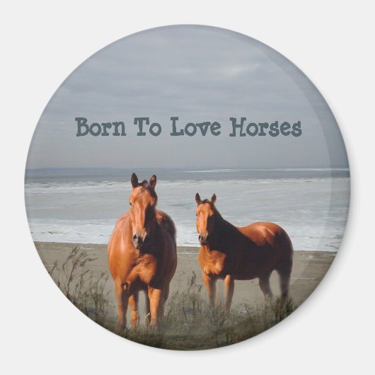 Strandpaarden magneet (Voorkant)