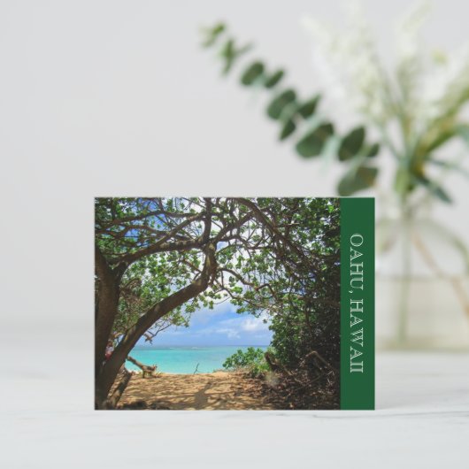 strandpad oahu briefkaart (Staand voorkant)