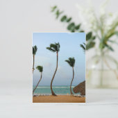 Strandpalm Briefkaart (Staand voorkant)