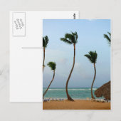 Strandpalm Briefkaart (Voorkant / Achterkant)