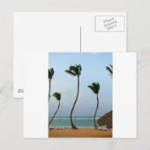 Strandpalm Briefkaart (Voorkant / Achterkant)