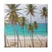 Strandpalmen Tegeltje (Voorkant)