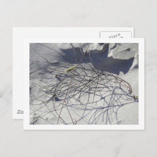 strandpuin briefkaart (Voorkant / Achterkant)