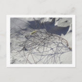 strandpuin briefkaart (Voorkant)