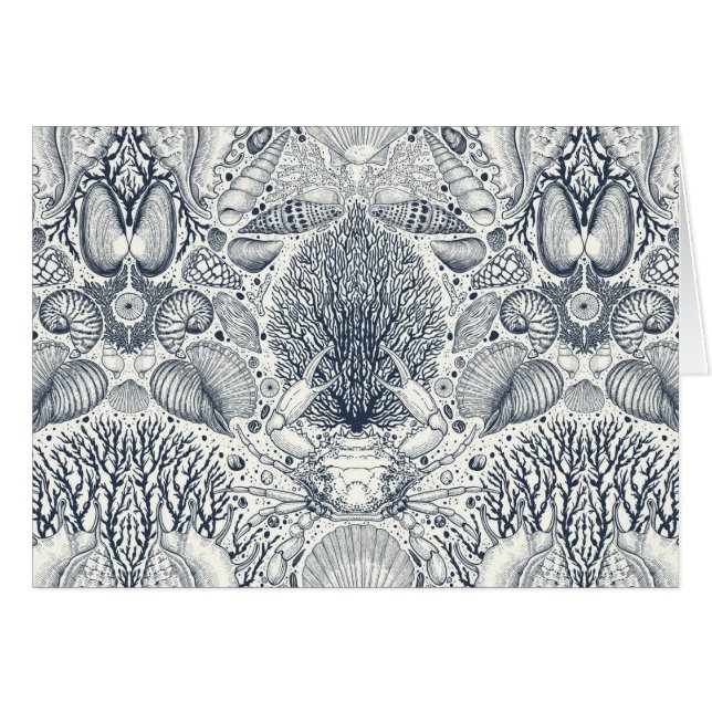 Strandschatten, schelpen, krab, koralen en zeewier (Voorkant Horizontaal)