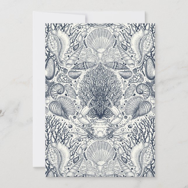 Strandschatten, schelpen, krab, koralen en zeewier (Voorkant)