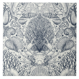 Strandschatten, schelpen, krab, koralen en zeewier tegeltje