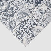 Strandschatten, schelpen, krab, koralen en zeewier tissuepapier (Detail)