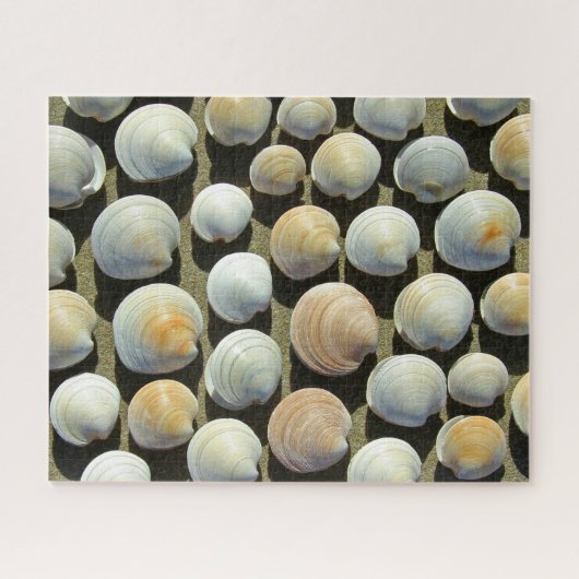 STRANDSCHELPEN 16x20 INCH Legpuzzel (Horizontaal)