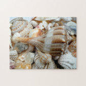 Strandschelpen Bliksem Wulk Puzzel Legpuzzel (Horizontaal)
