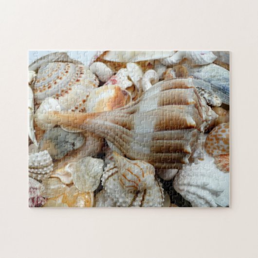 Strandschelpen Bliksem Wulk Puzzel Legpuzzel (Horizontaal)