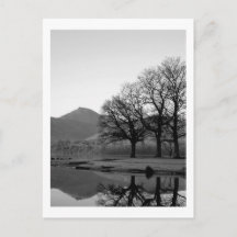 Strandshag Bay Reflections op Derwentwater Postcar