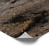 strandsport foto poster (Hoek)