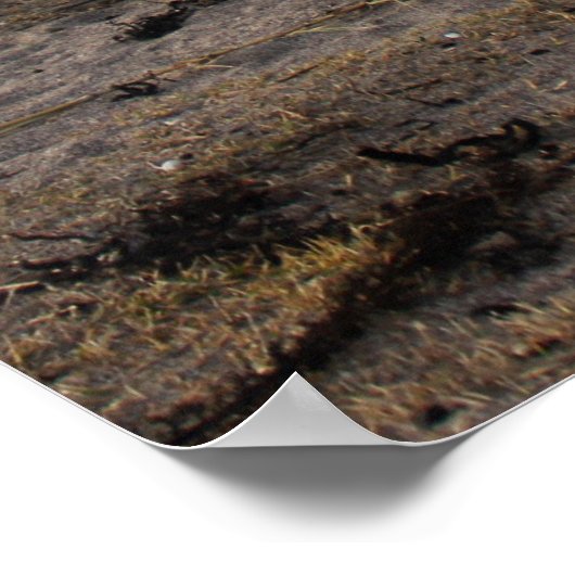 strandsport foto poster (Hoek)