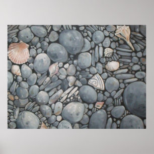 Strandstenen Schelpen Kiezels Rotsen Schilderkunst Poster
