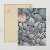 Strandstenen schelpen steentjes rotsen schilderen  briefkaart (Voorkant / Achterkant)