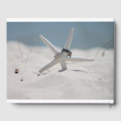 Strandtafereel met zeesterren gastenboek (Achterkant)