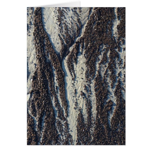 strandtexturen met zeewier (Voorkant)