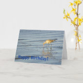 Strandvogel Happy Birthday 3 Kaart (Gele Bloem)