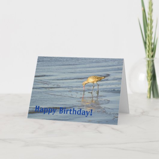 Strandvogel Happy Birthday 3 Kaart (Voorkant)