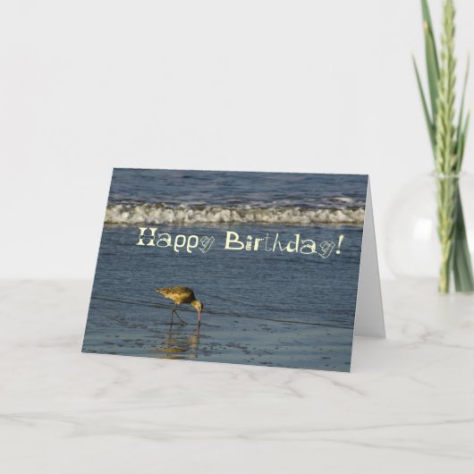 Strandvogel Happy Birthday 4 Kaart (Voorkant)