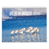 Strandvogels 2025 kalender (Hoes)