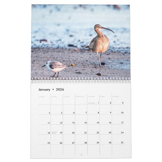 Strandvogels 2025 kalender (Jan 2026)