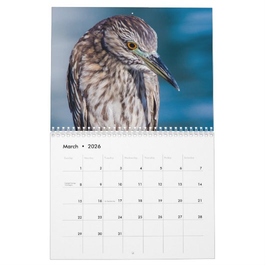 Strandvogels fotografie kalender (Mar 2026)