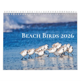 Strandvogels fotografie kalender